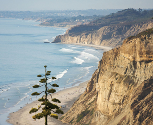 image_3b